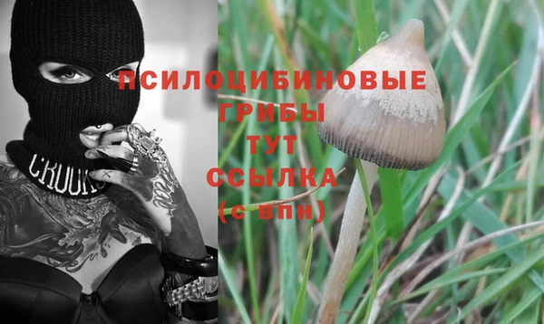 эйфоретик Балабаново
